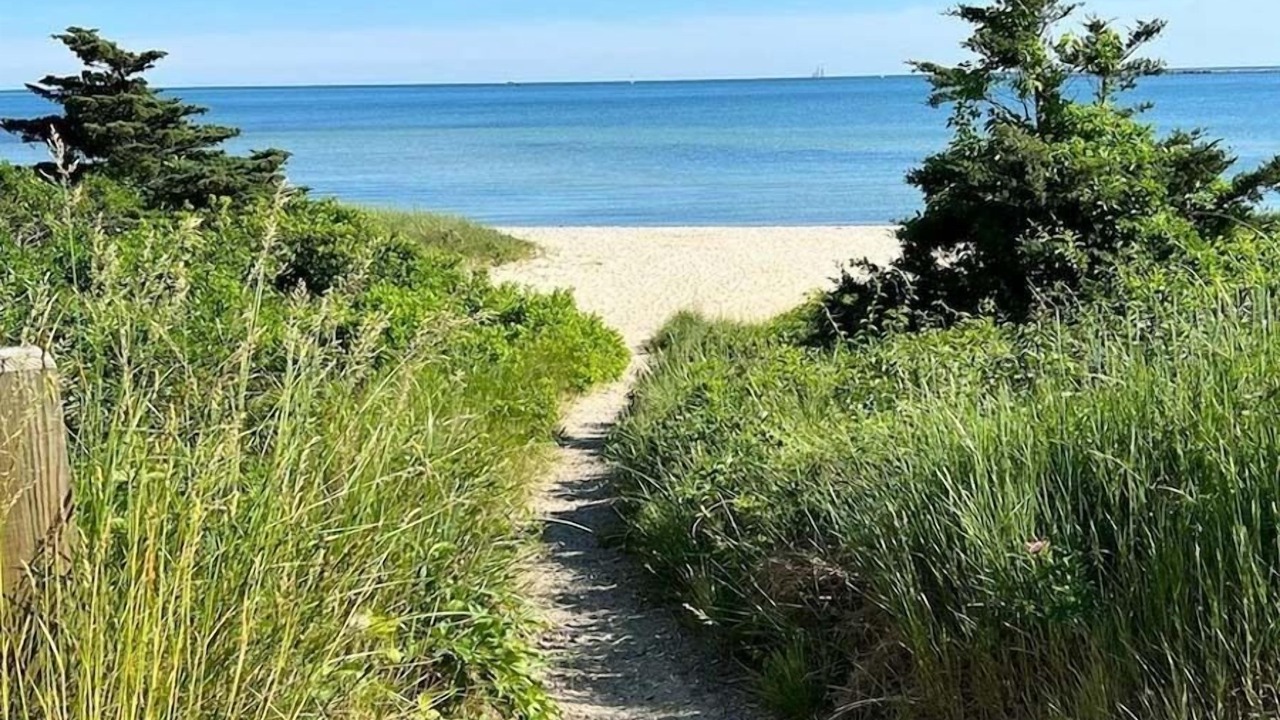 Photo of Others in Hyannis