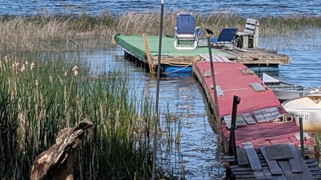 Photo of Others in Malletts Bay