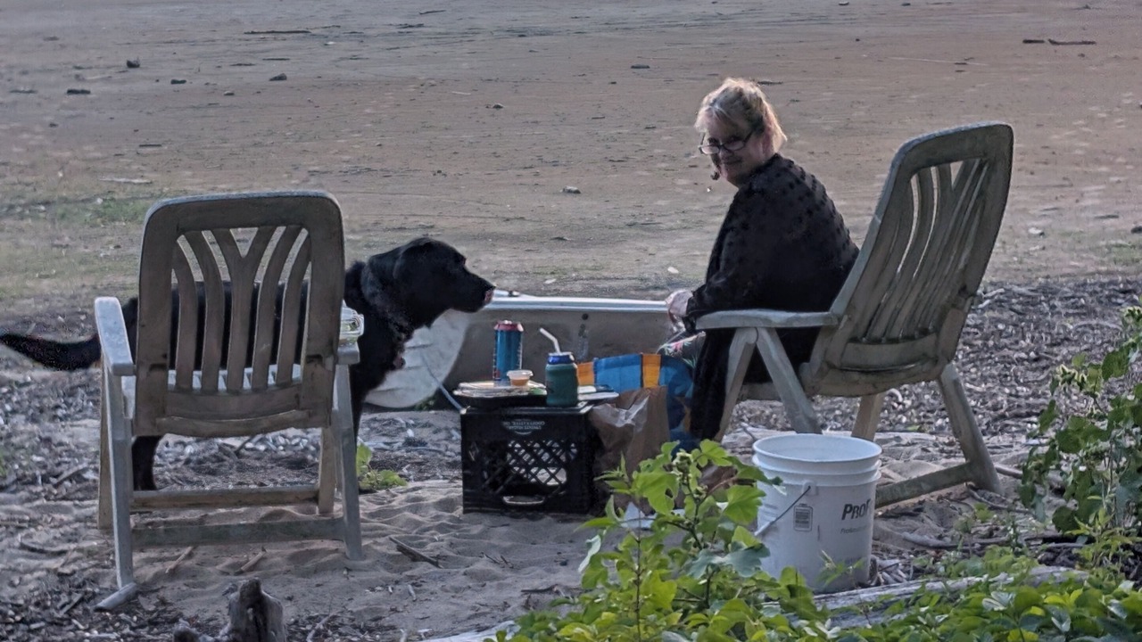 Photo of Others in Malletts Bay