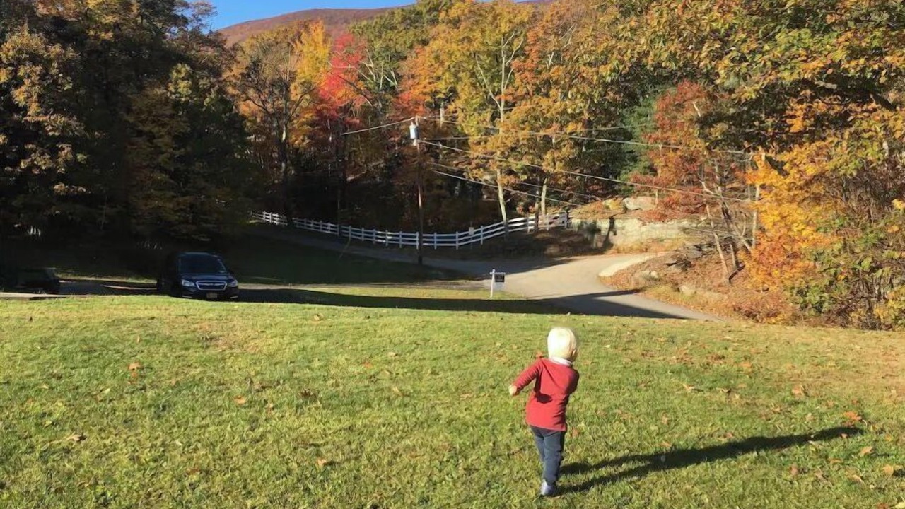 Photo of Outdoor in Saugerties