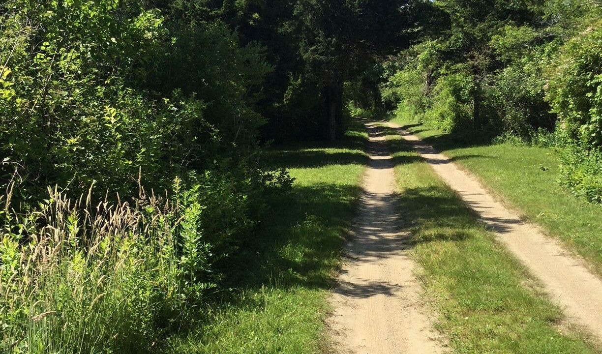 Photo of Outdoor in Chilmark