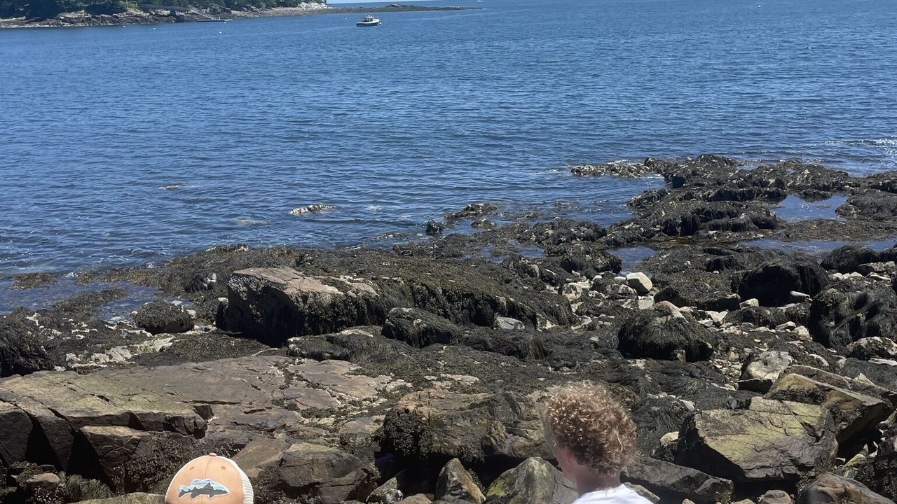 Photo of Outdoor in Northeast Harbor