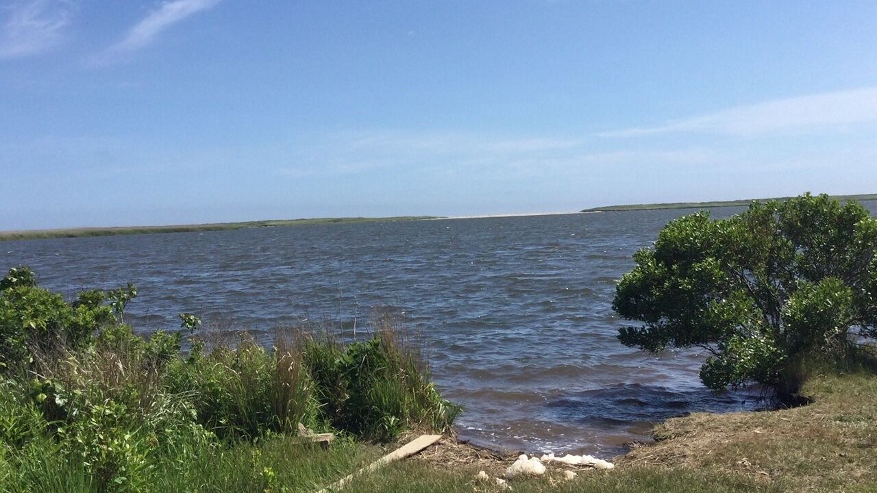 Photo of Others in Chilmark