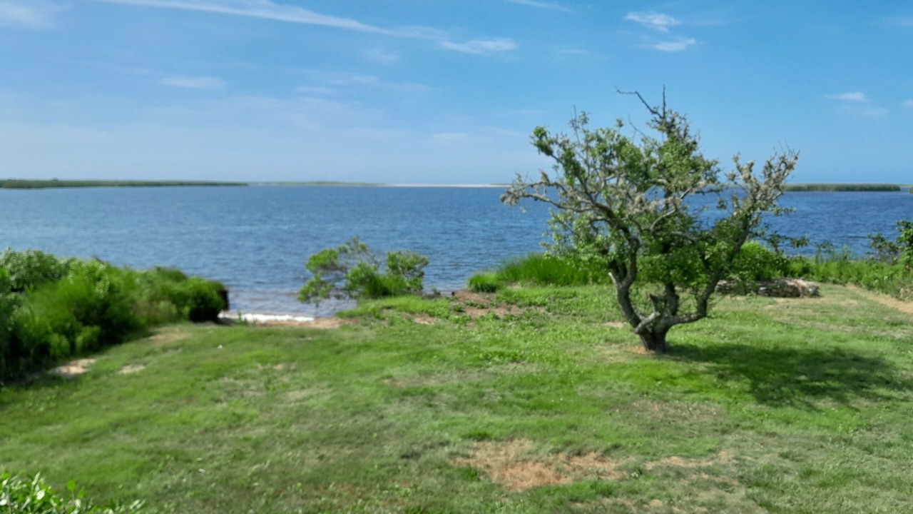 Photo of Others in Chilmark