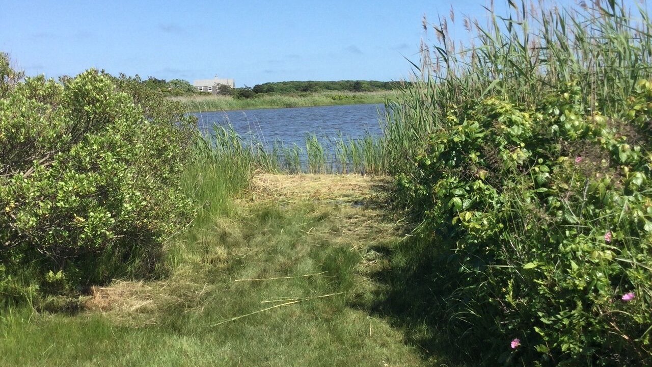 Photo of Outdoor in Chilmark