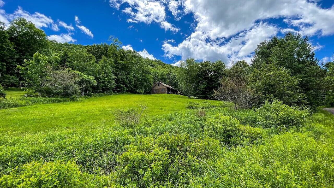 Photo of Outdoor in Denver