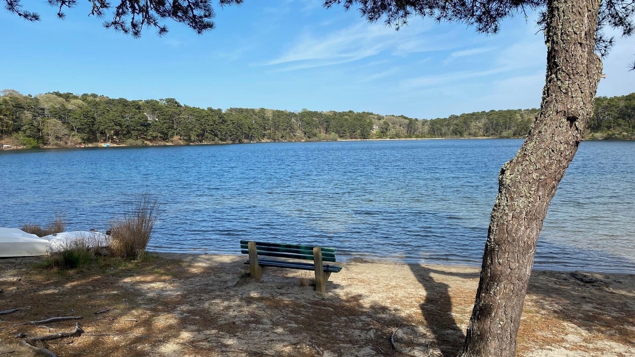 Photo of Others in West Chatham
