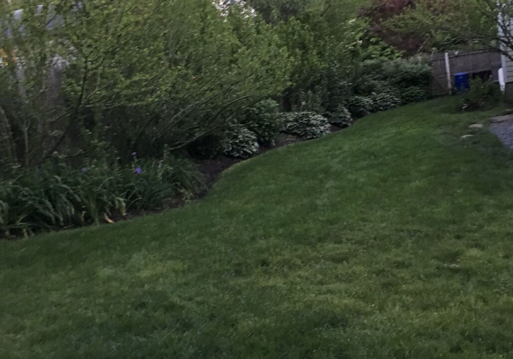 Photo of Outdoor in Bonnet Shores