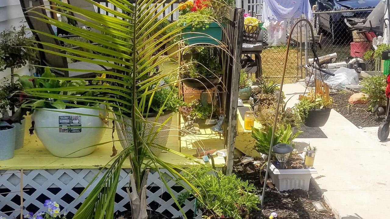 Photo of Outdoor in New Britain