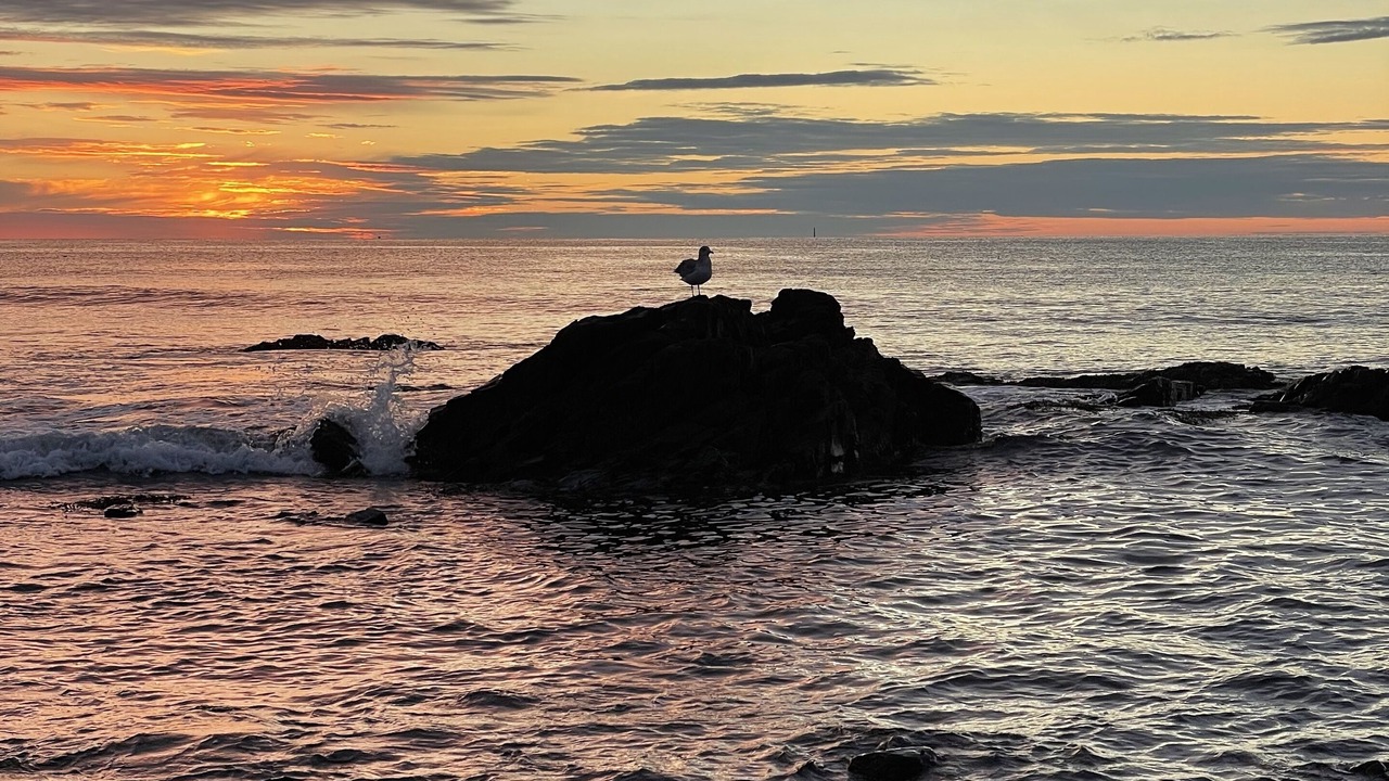 Photo of Others in York Harbor