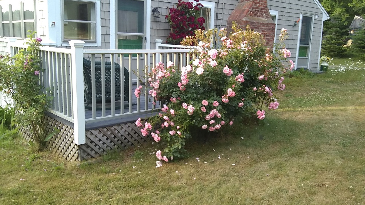 Photo of Outdoor in Mid-Coast and Islands