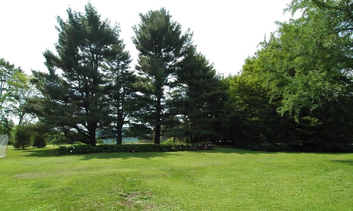 Photo of Others in Lenox