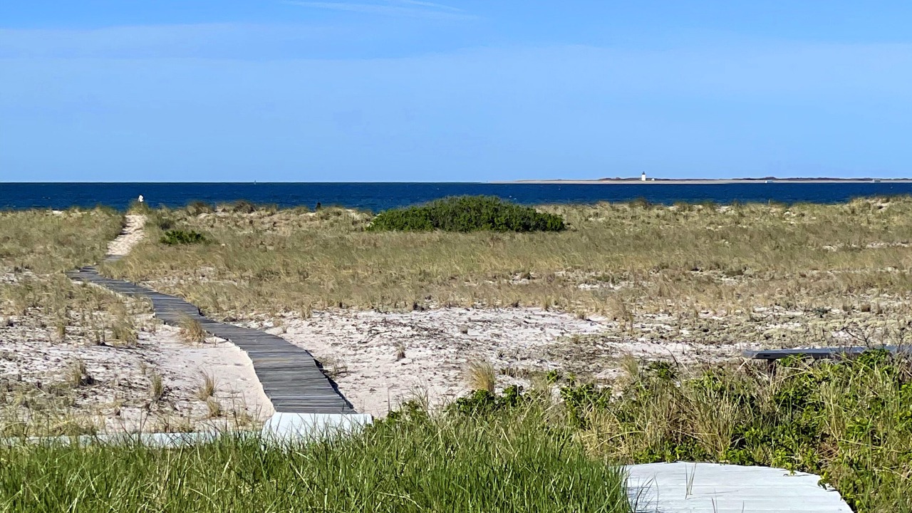 Photo of Others in North Truro
