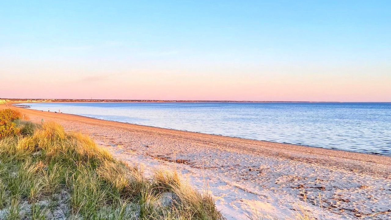 Photo of Others in North Truro