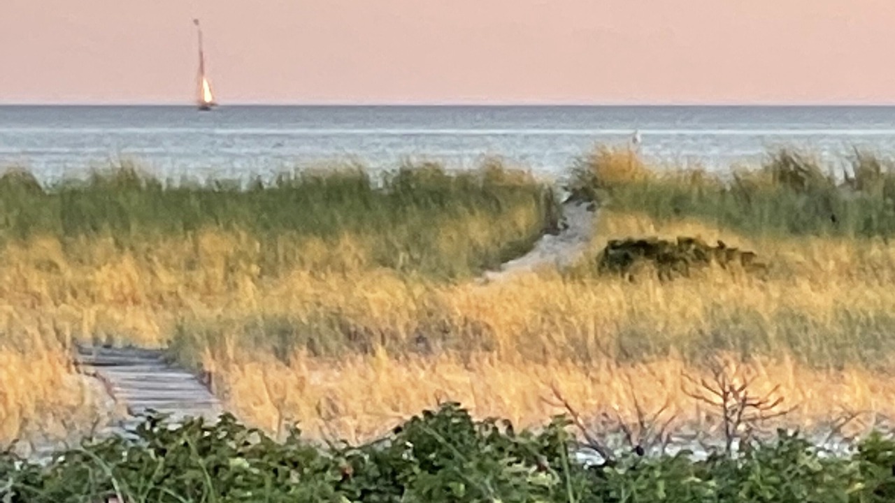 Photo of Others in North Truro
