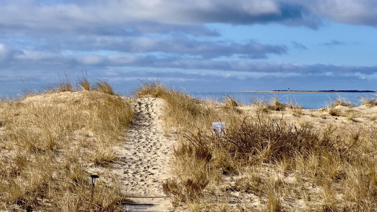Photo of Others in North Truro