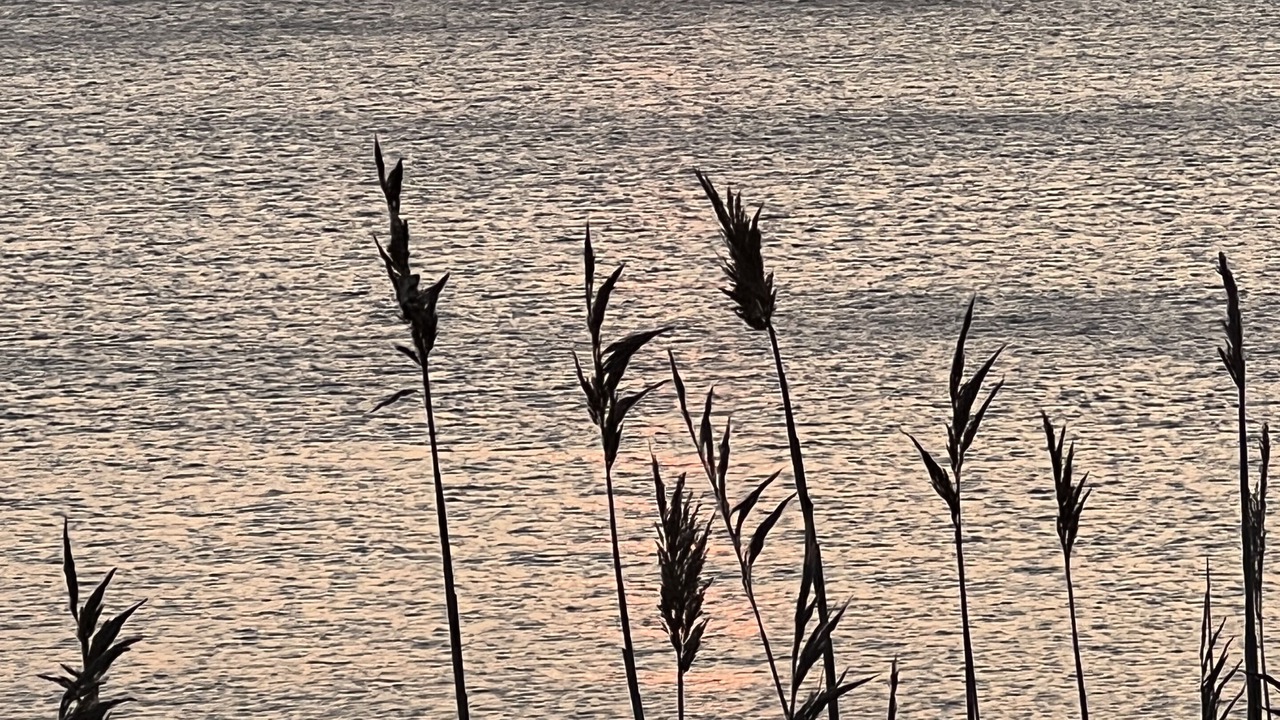 Photo of Others in Culloden Shores