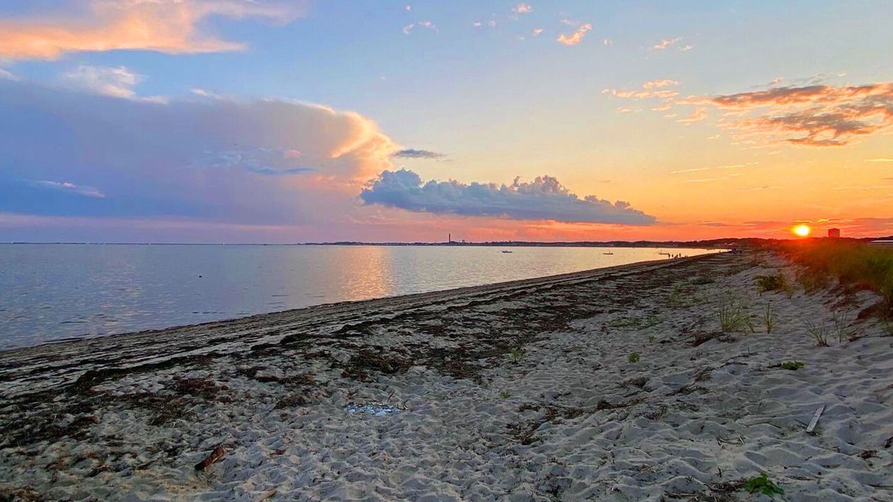 Photo of Others in North Truro