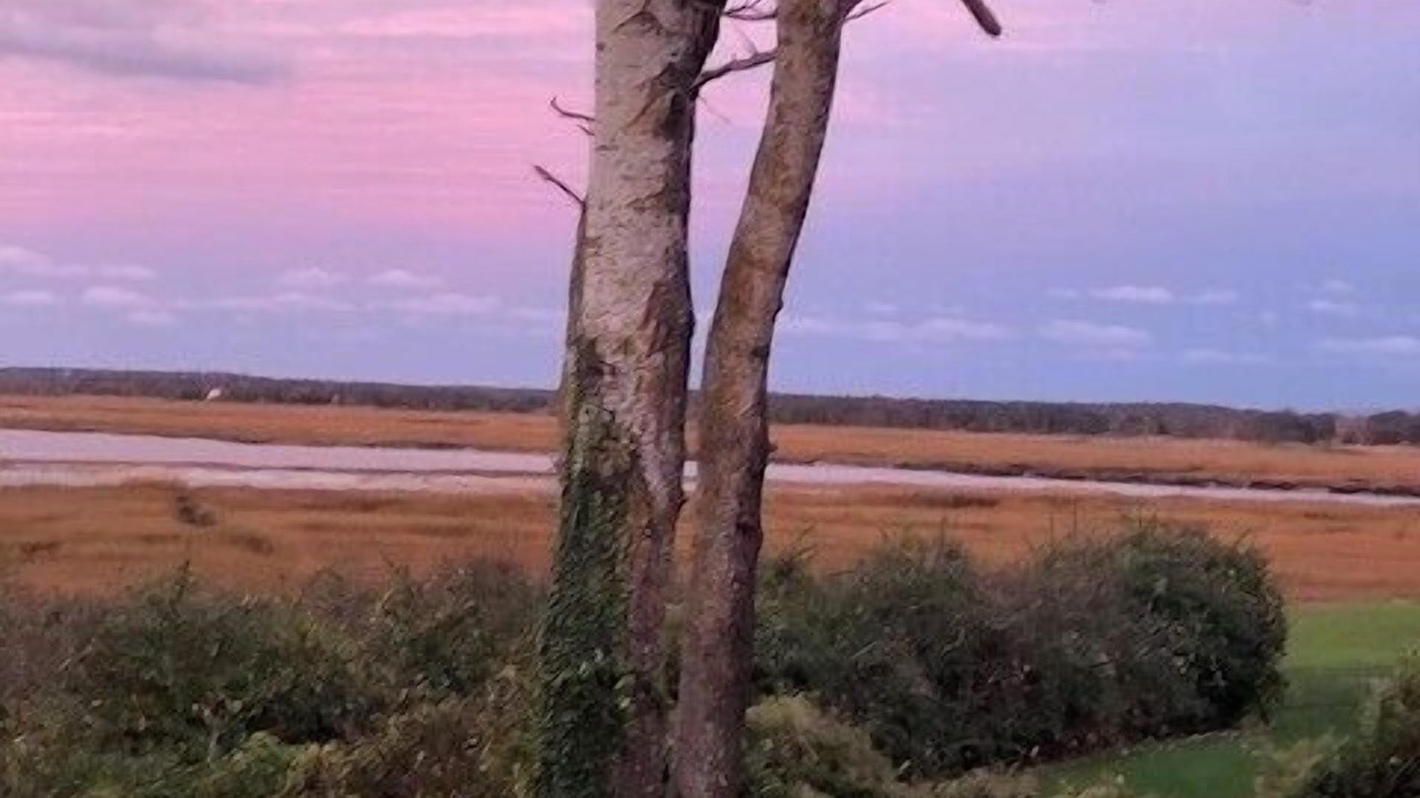 Photo of Others in Barnstable