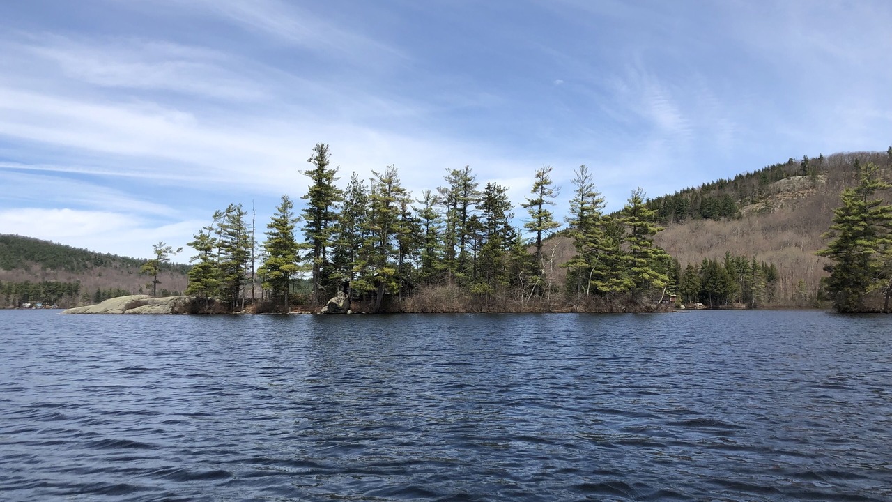 Photo of Others in Bryant Pond
