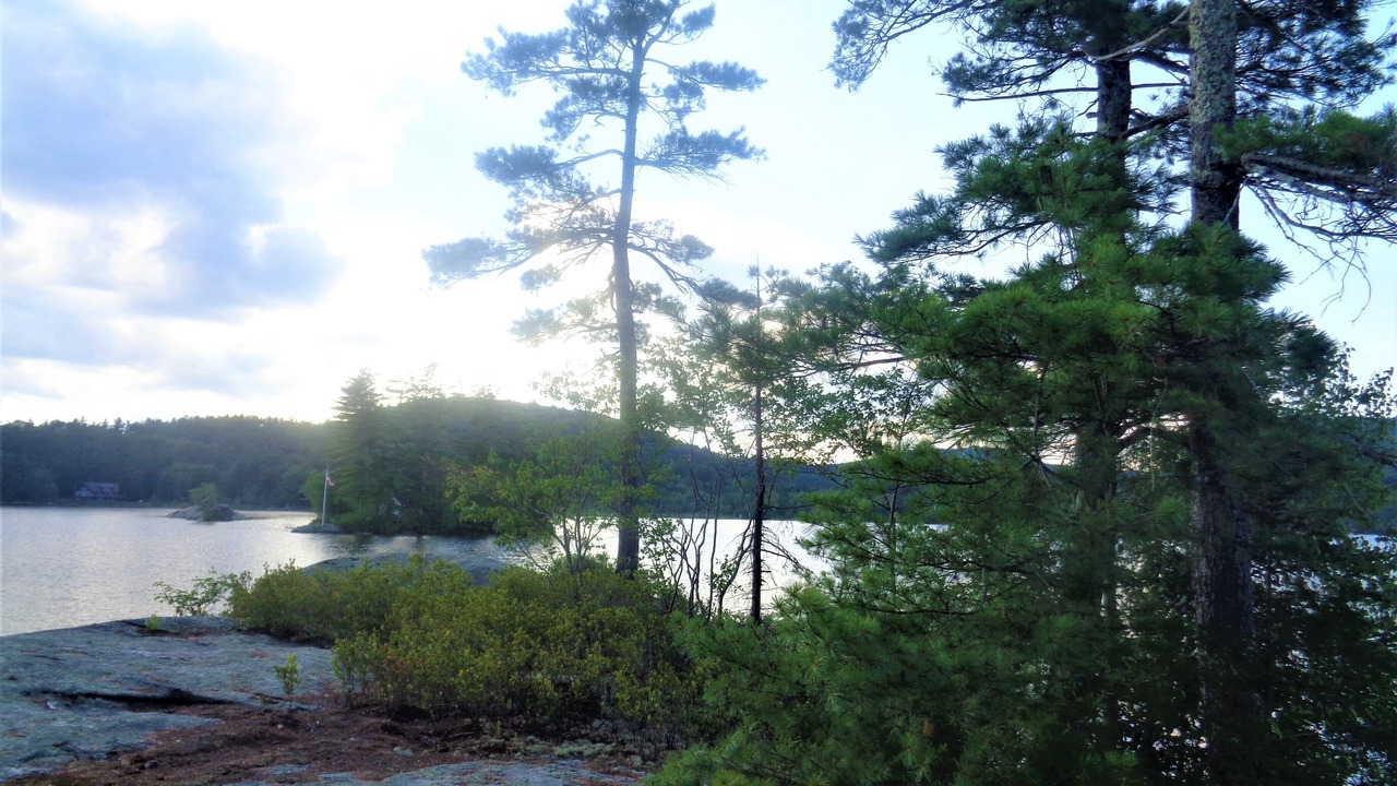 Photo of Others in Bryant Pond