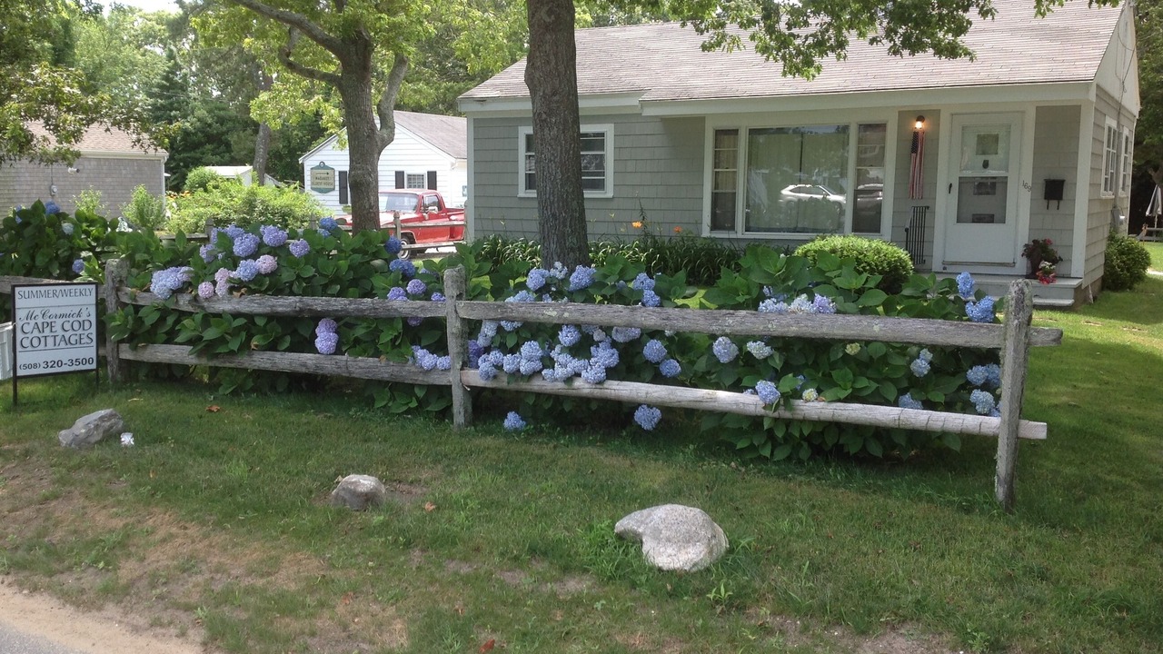 Photo of Outdoor in South Yarmouth