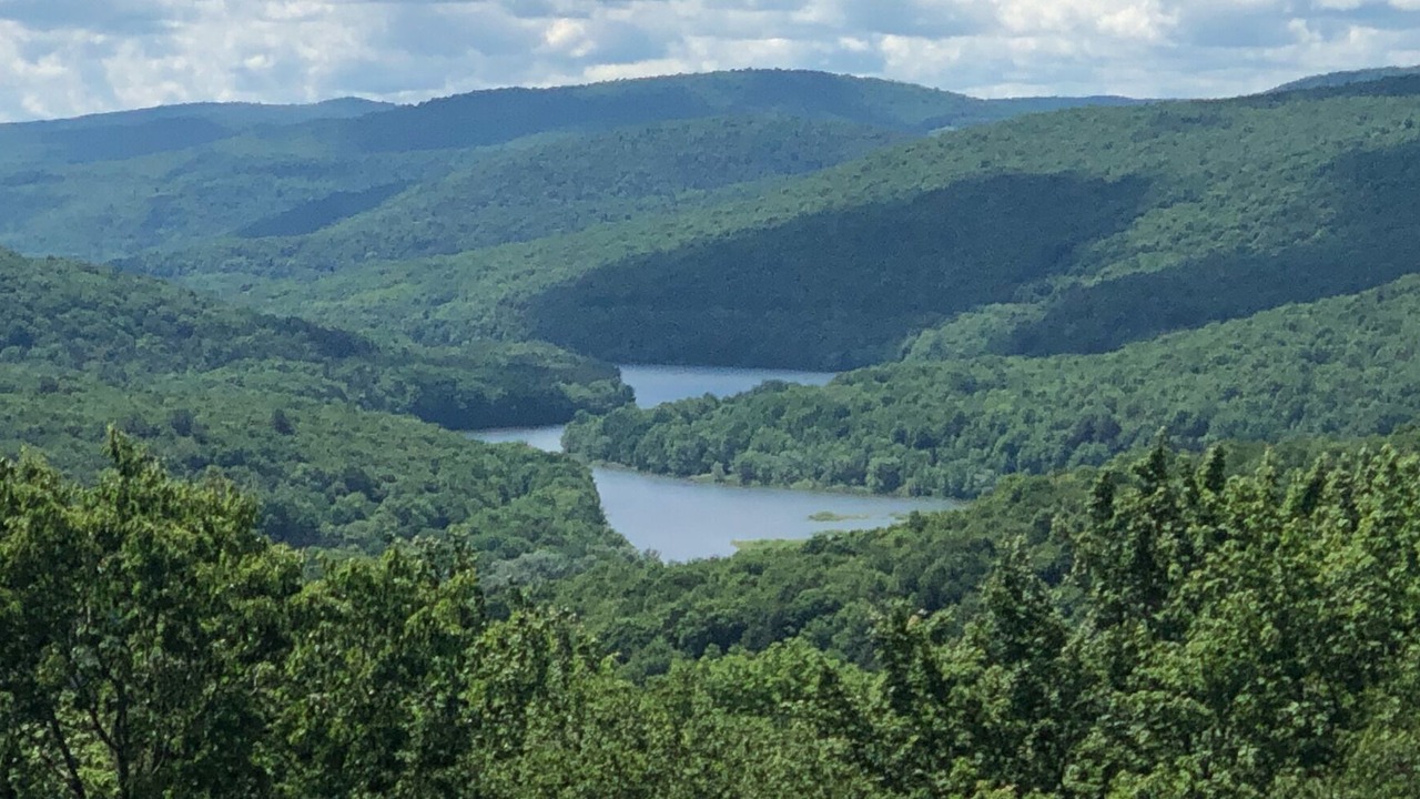 Photo of Others in Margaretville