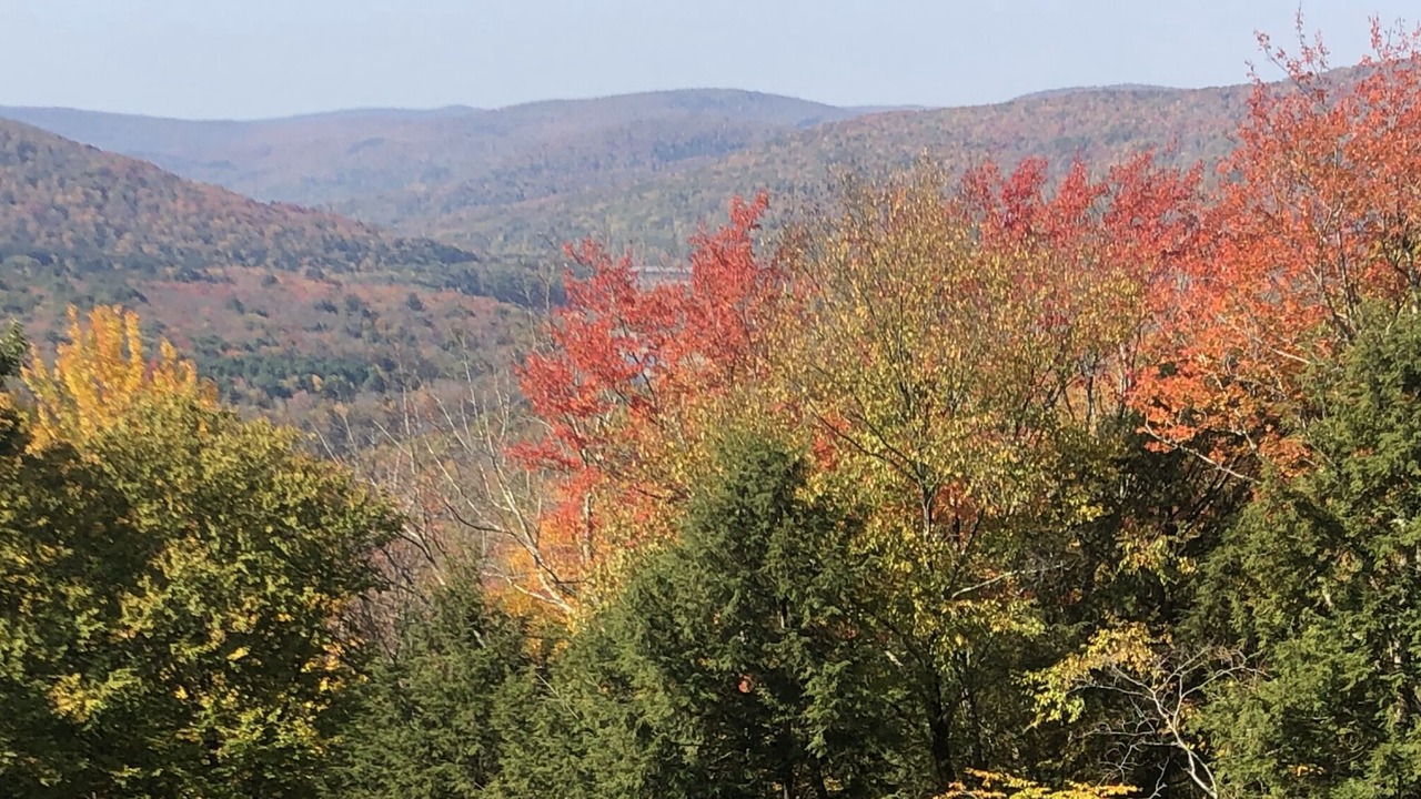 Photo of Outdoor in Margaretville