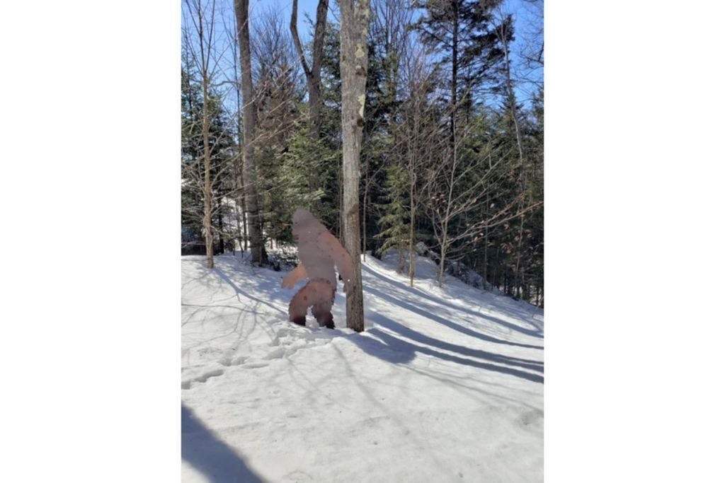 Photo of Others in West Dover