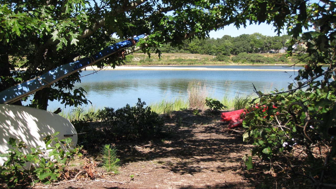 Photo of Others in West Tisbury
