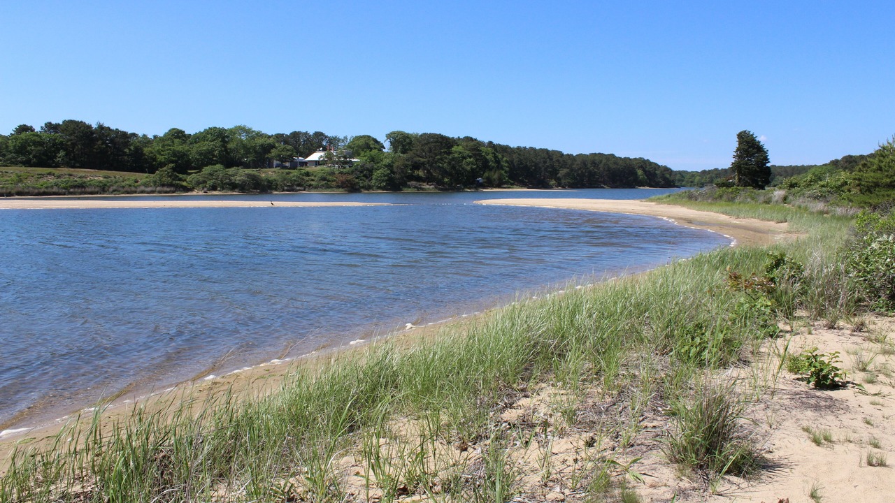 Photo of Others in West Tisbury