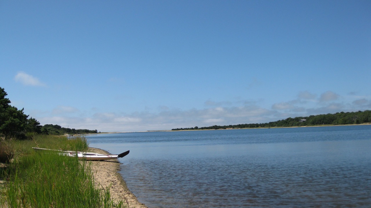 Photo of Others in West Tisbury