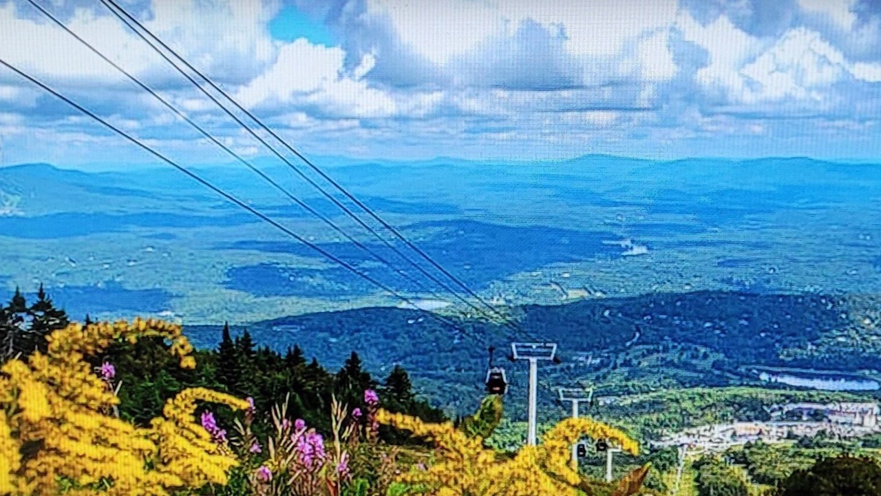 Photo of Others in Stratton Mountain