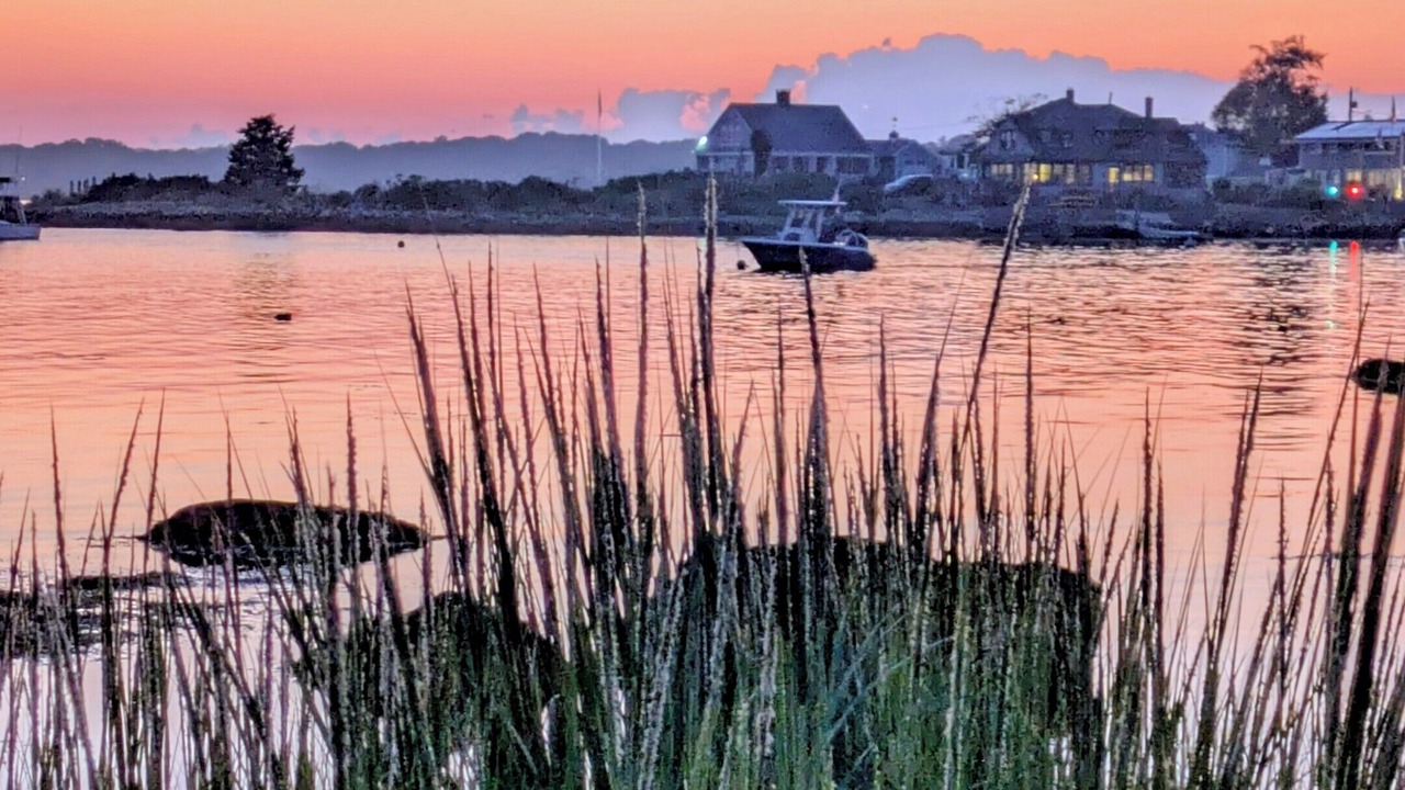 Photo of Others in Lords Point