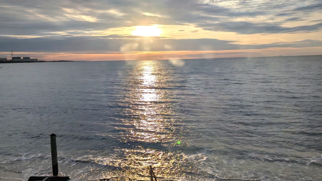 Photo of Others in Niantic