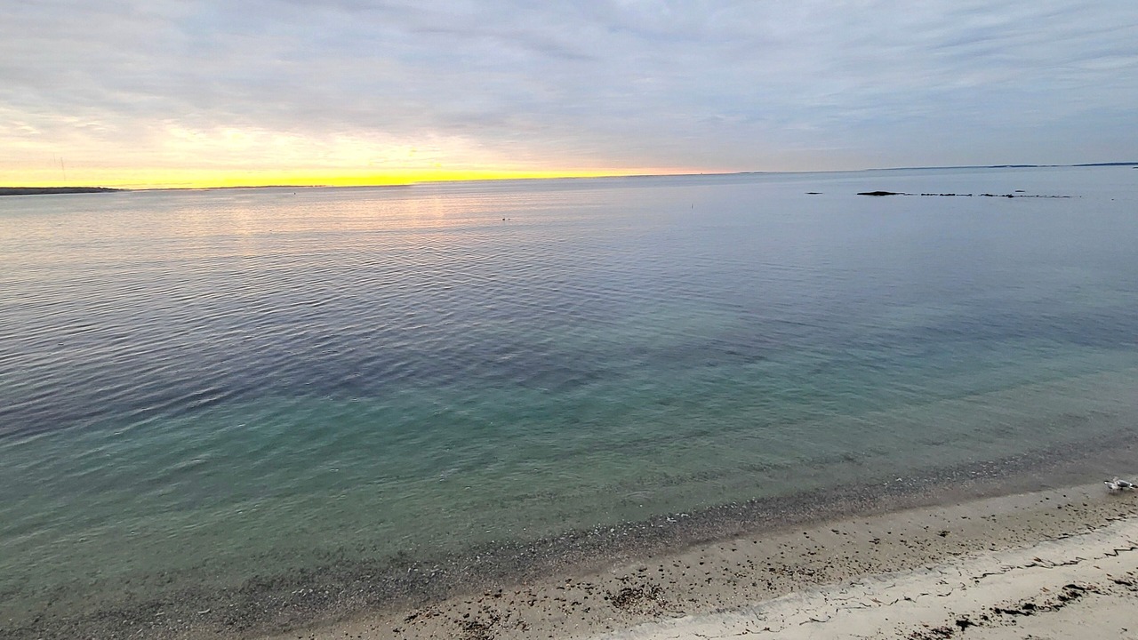 Photo of Others in Niantic