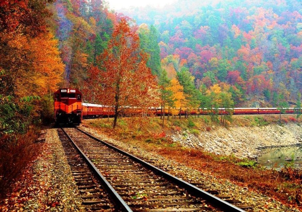 Photo of Outdoor in Eidelweiss Village