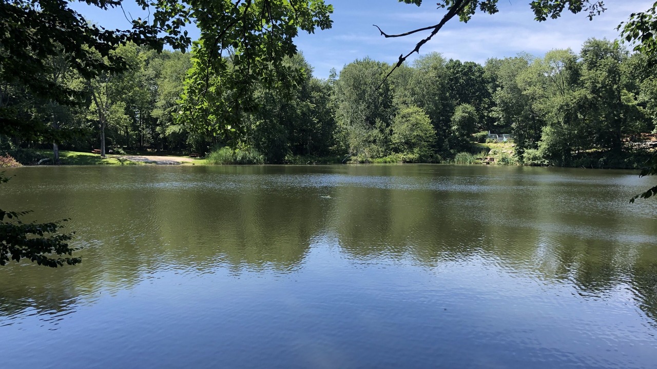 Photo of Outdoor in Somers