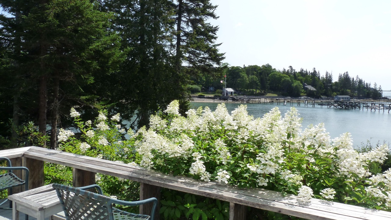 Photo of Patio Balcony in Northeast Harbor