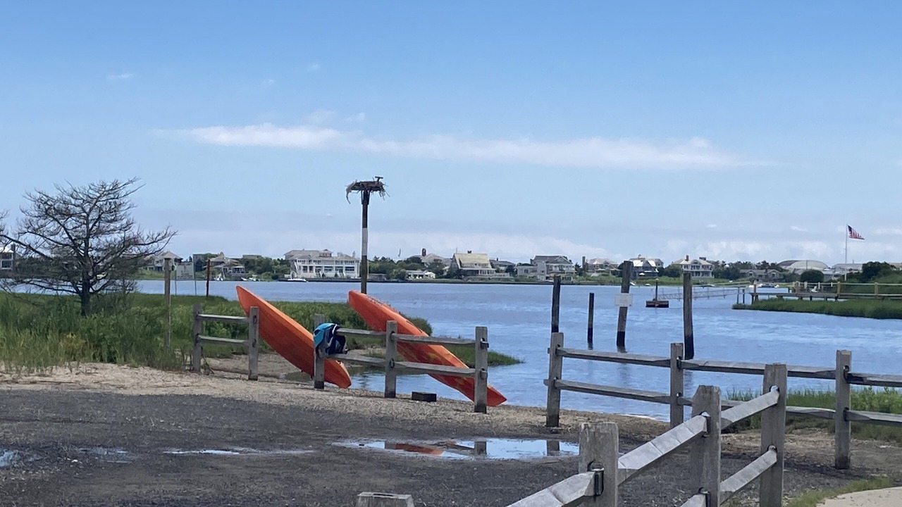 Photo of Outdoor in Westhampton Beach