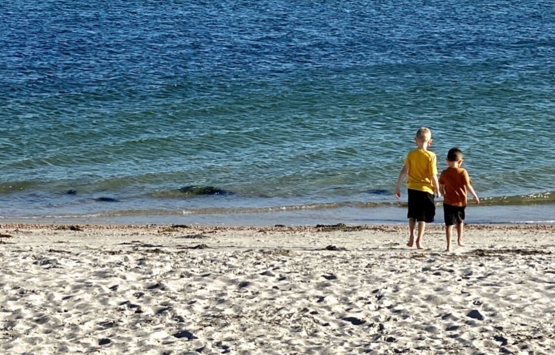 Photo of Others in South Yarmouth