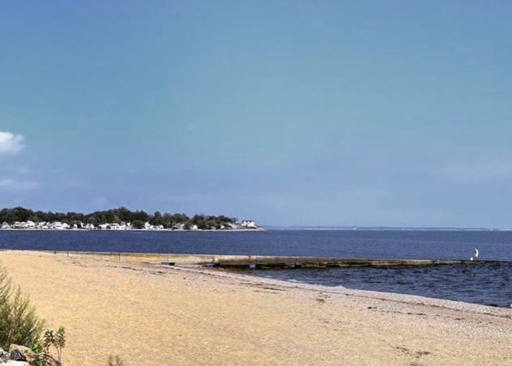 Photo of Others in Milford