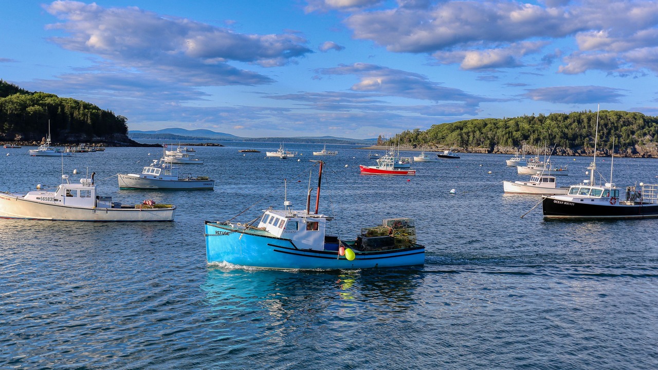 Photo of Others in Bar Harbor