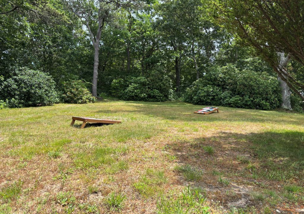 Photo of Outdoor in North Chatham