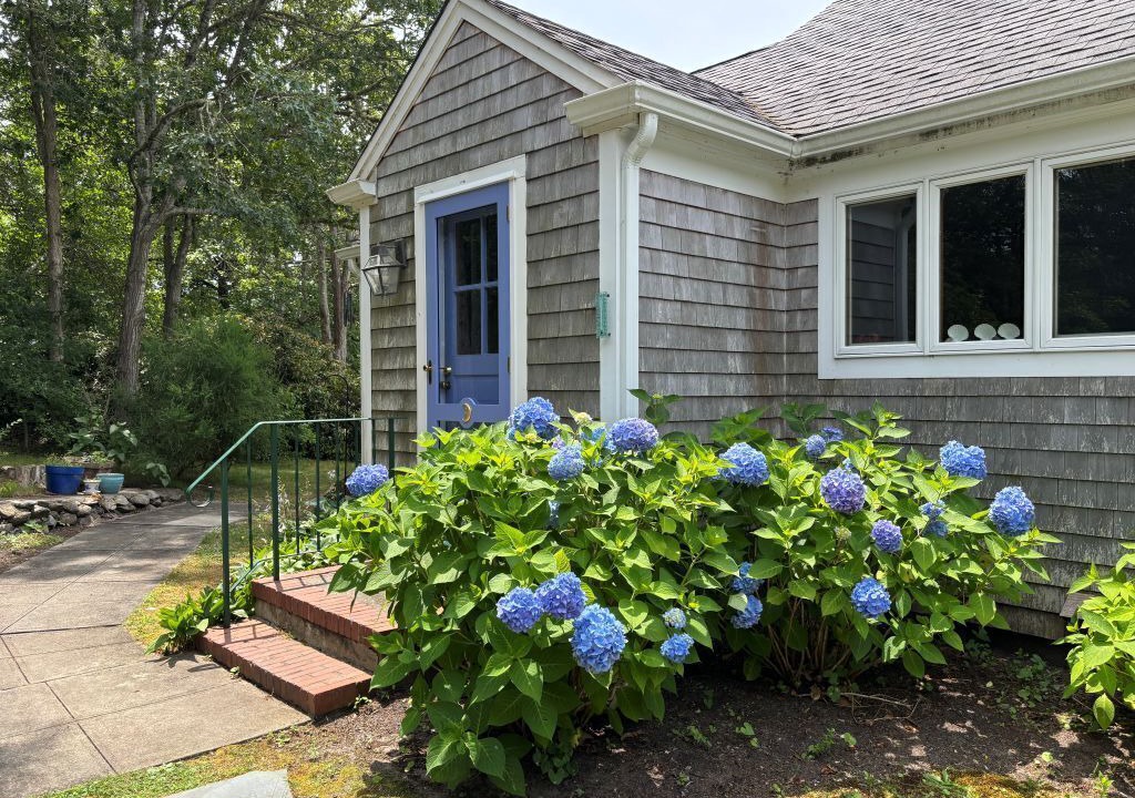 Photo of Outdoor in North Chatham