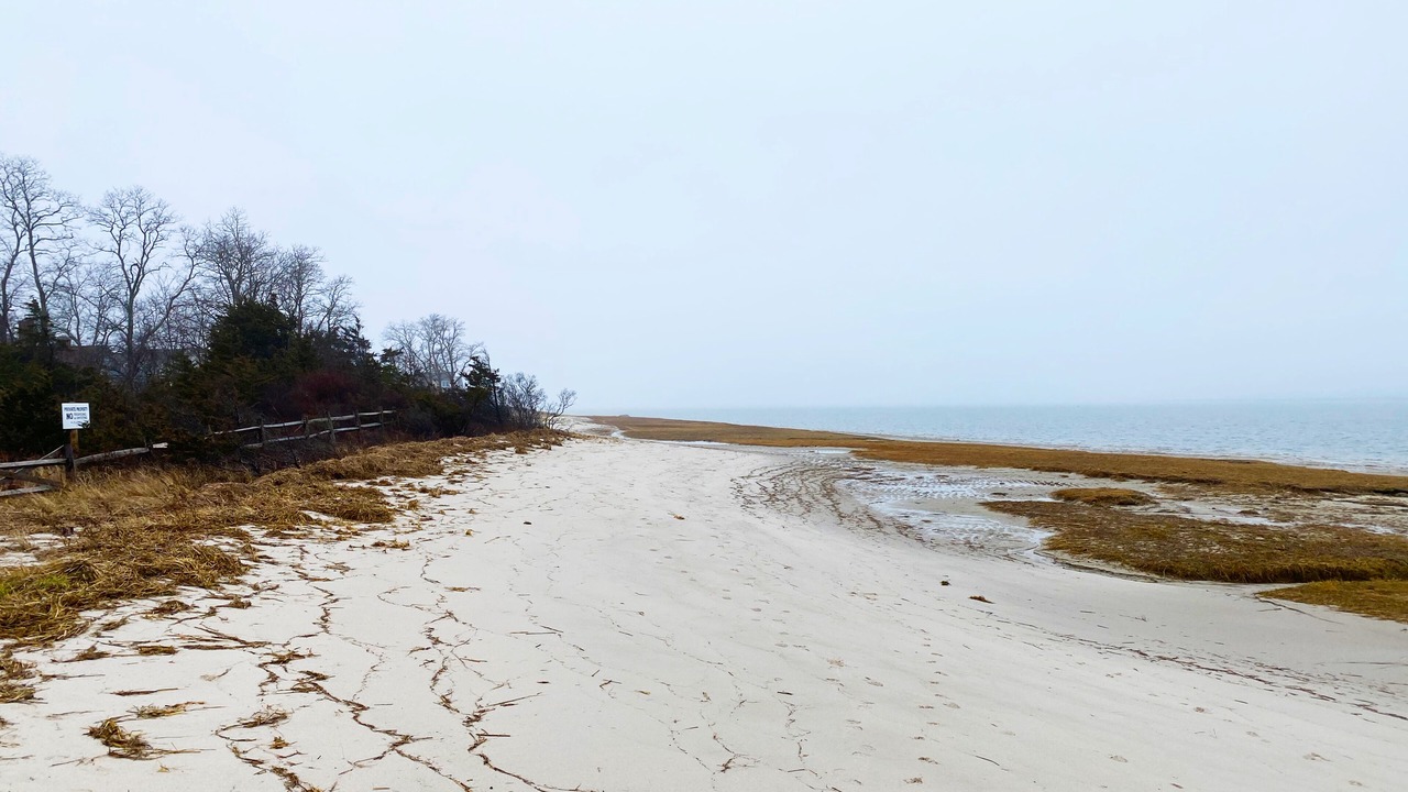 Photo of Others in Barnstable