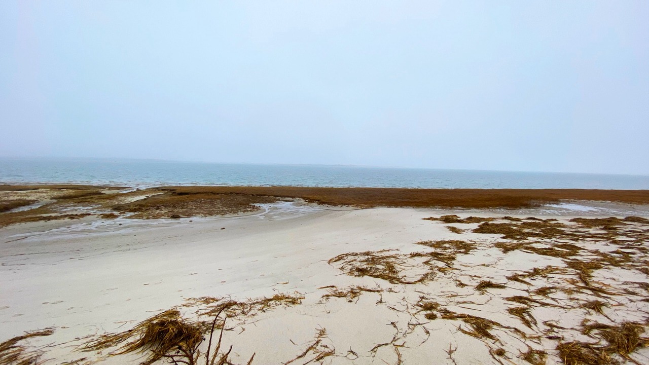 Photo of Others in Barnstable