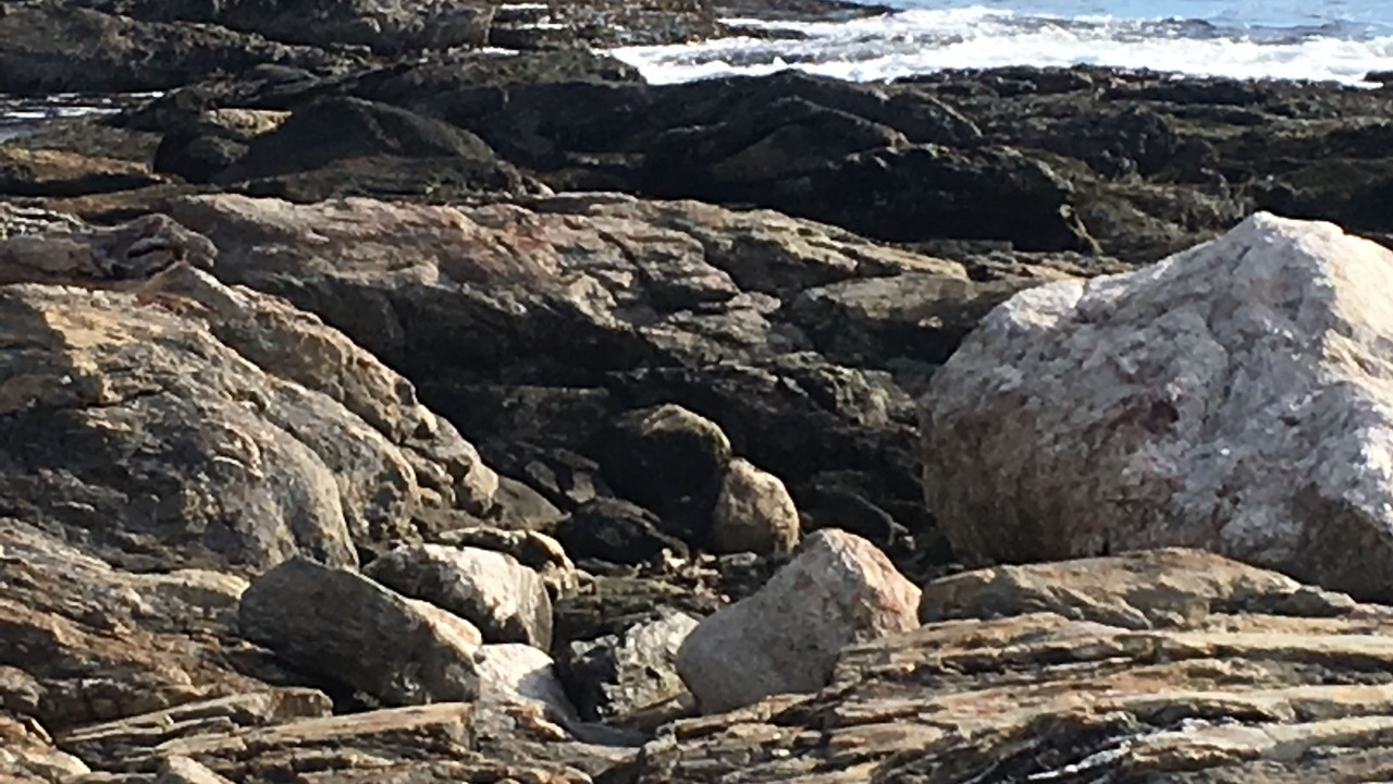 Photo of Outdoor in Boothbay Harbor