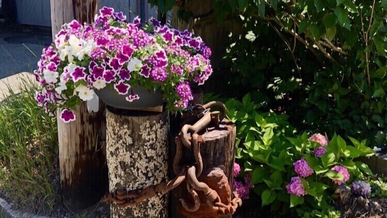 Photo of Outdoor in Provincetown