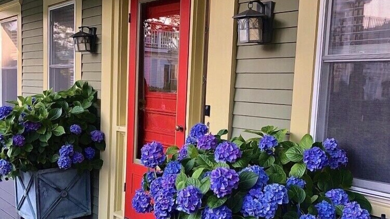 Photo of Outdoor in Provincetown